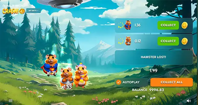 Crash Hamster Crash screenshot