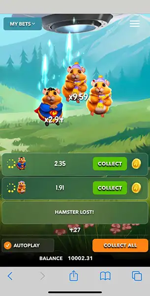 Crash Hamster Crash mobile screenshot #4