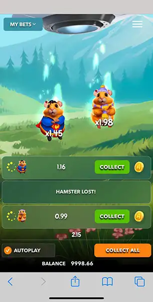 Crash Hamster Crash mobile screenshot #3