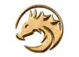 Dragonsoft Dragonsoft logo