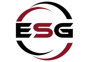 Entertainment Software Group N.V. logo