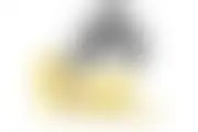 Casino #1238 to be released soon Fizz 888 Casino will soon be launched