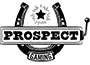 Prospect Gaming Prospect Gaming logo