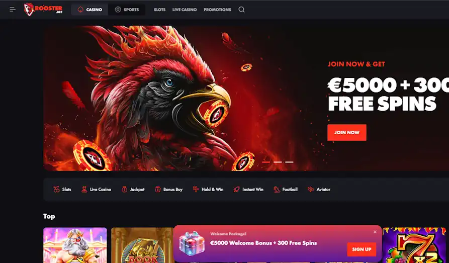 Read review of Rooster Bet