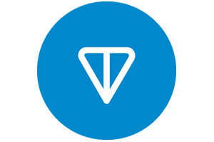 Ton Coin Logo for Ton Coin